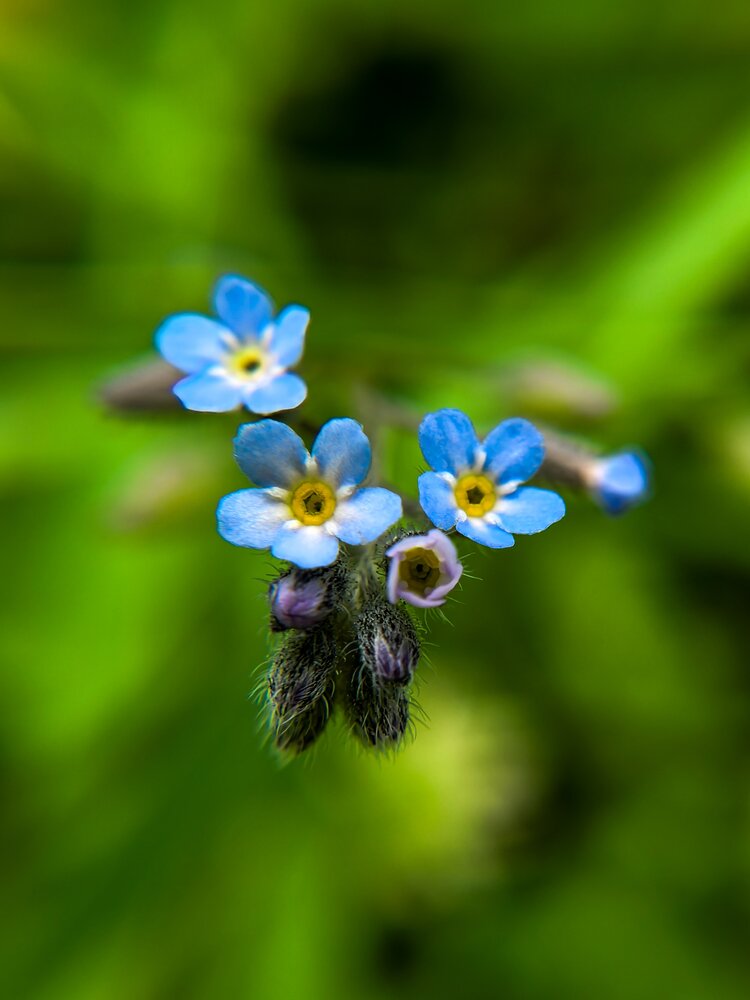Photograph by Татьяна Бухарова