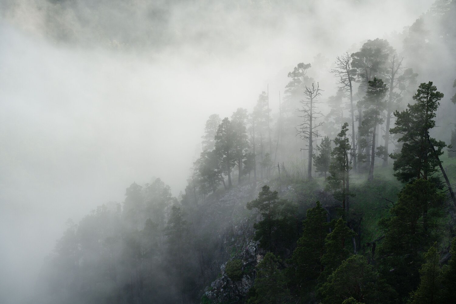 Photo #13872586