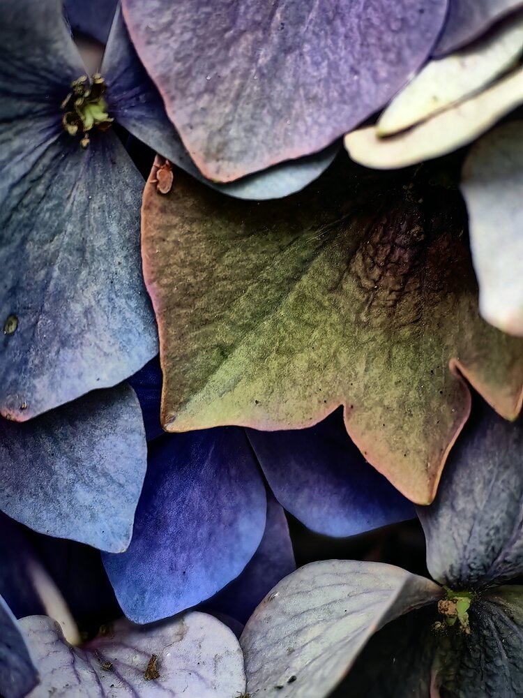 Photograph by Жанна