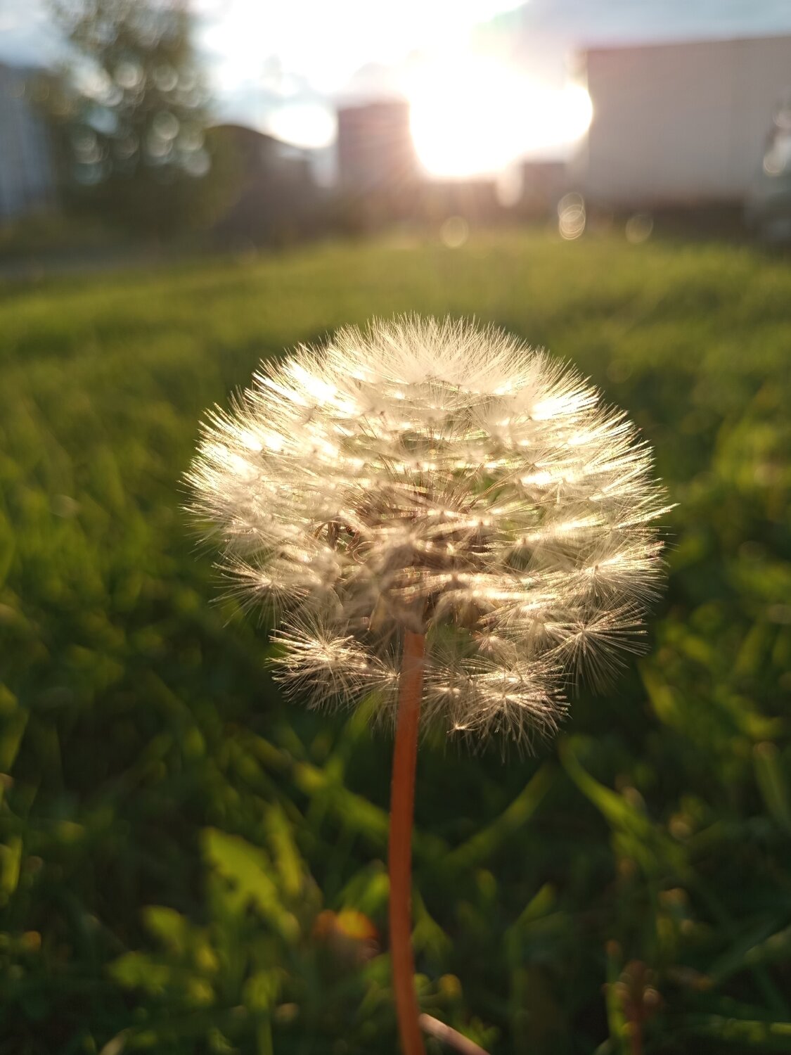 Photo #13872601