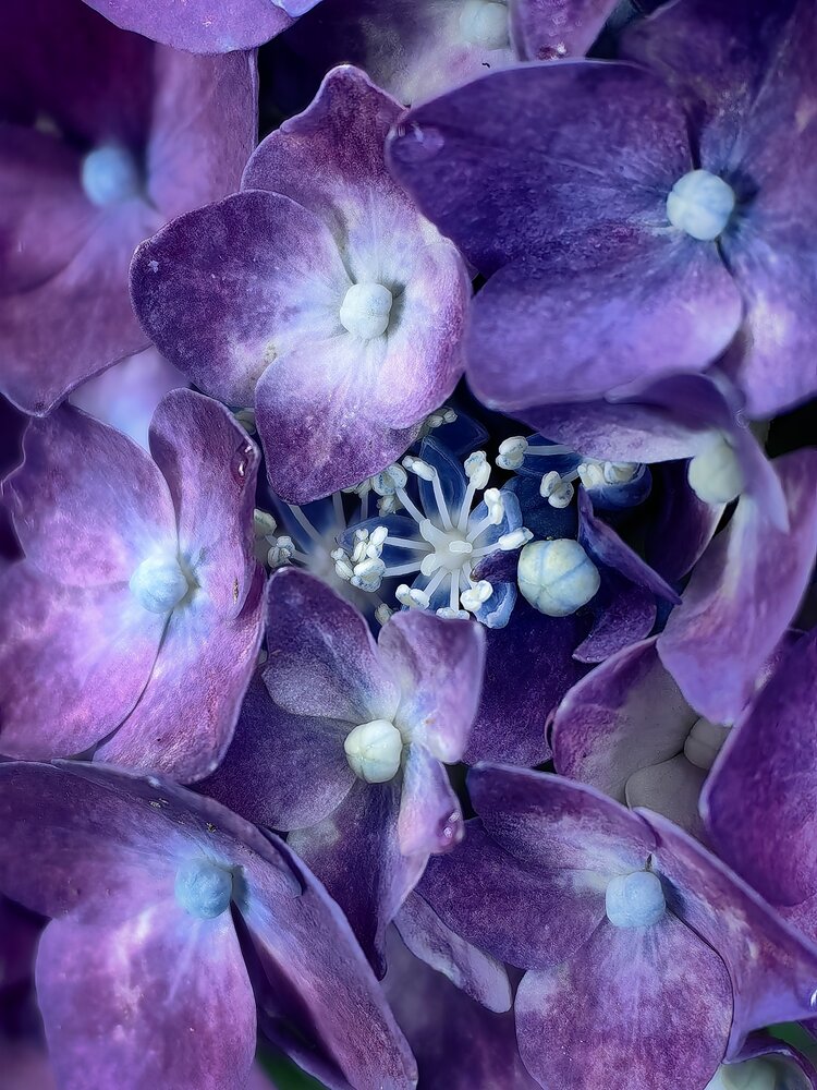Photograph by Жанна