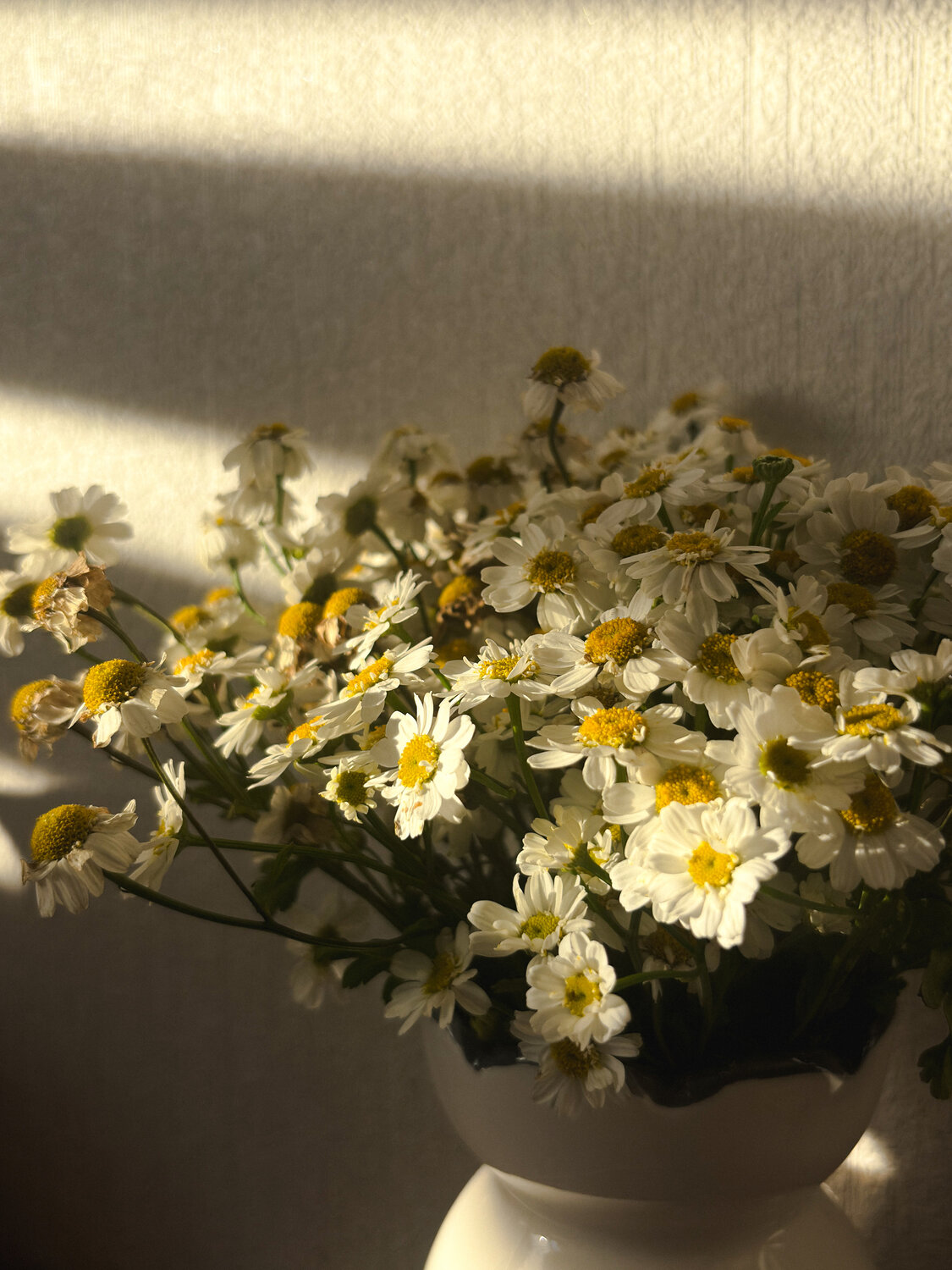 Photo #13872710