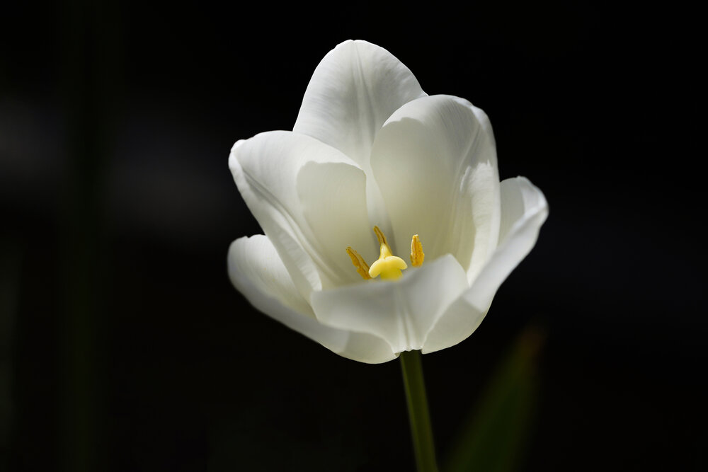 Photograph by Ömer Sarıtas