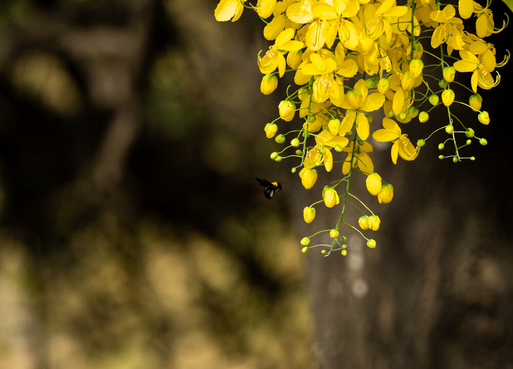 Фотография автора Deepesh Bhavsar