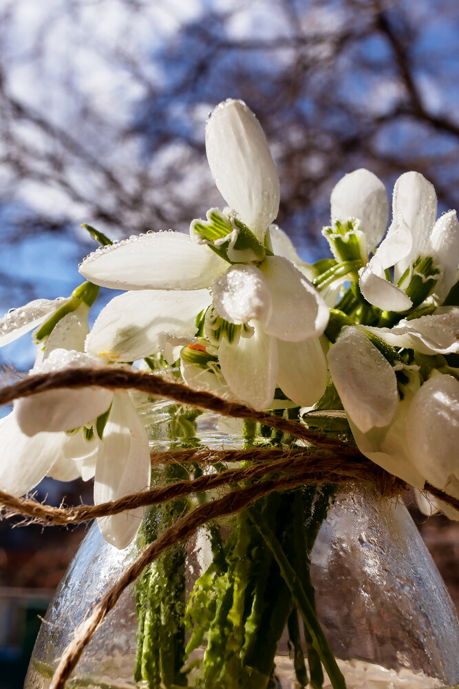 Photograph by Ольга Богданова