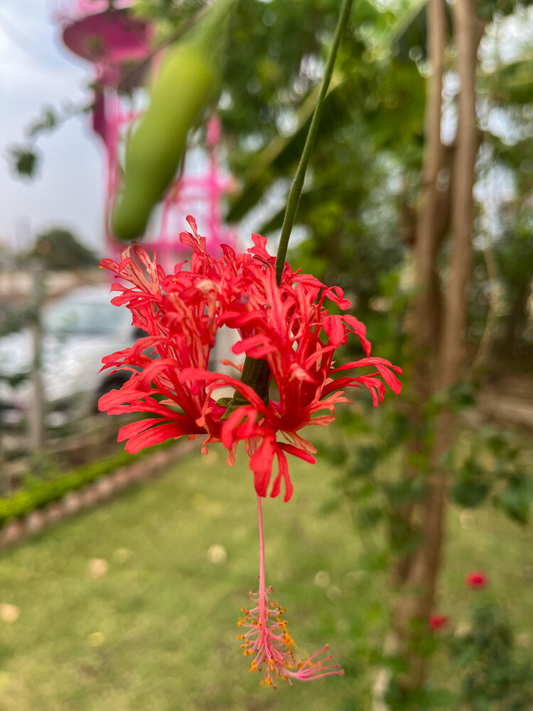 Фотография автора Deepesh Bhavsar