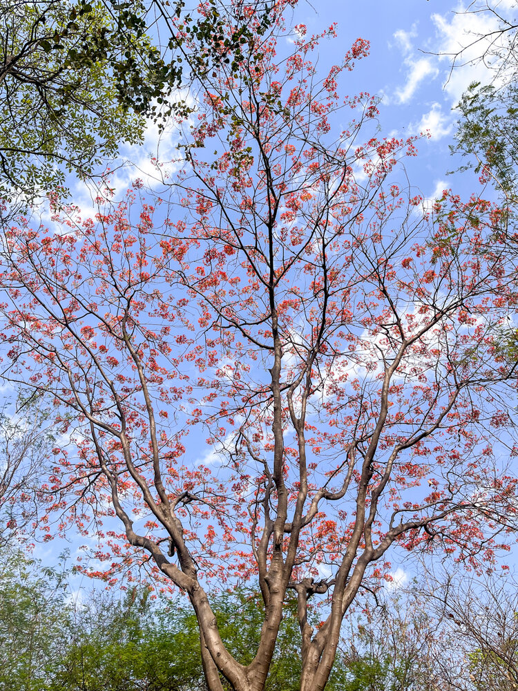 Фотография автора Deepesh Bhavsar