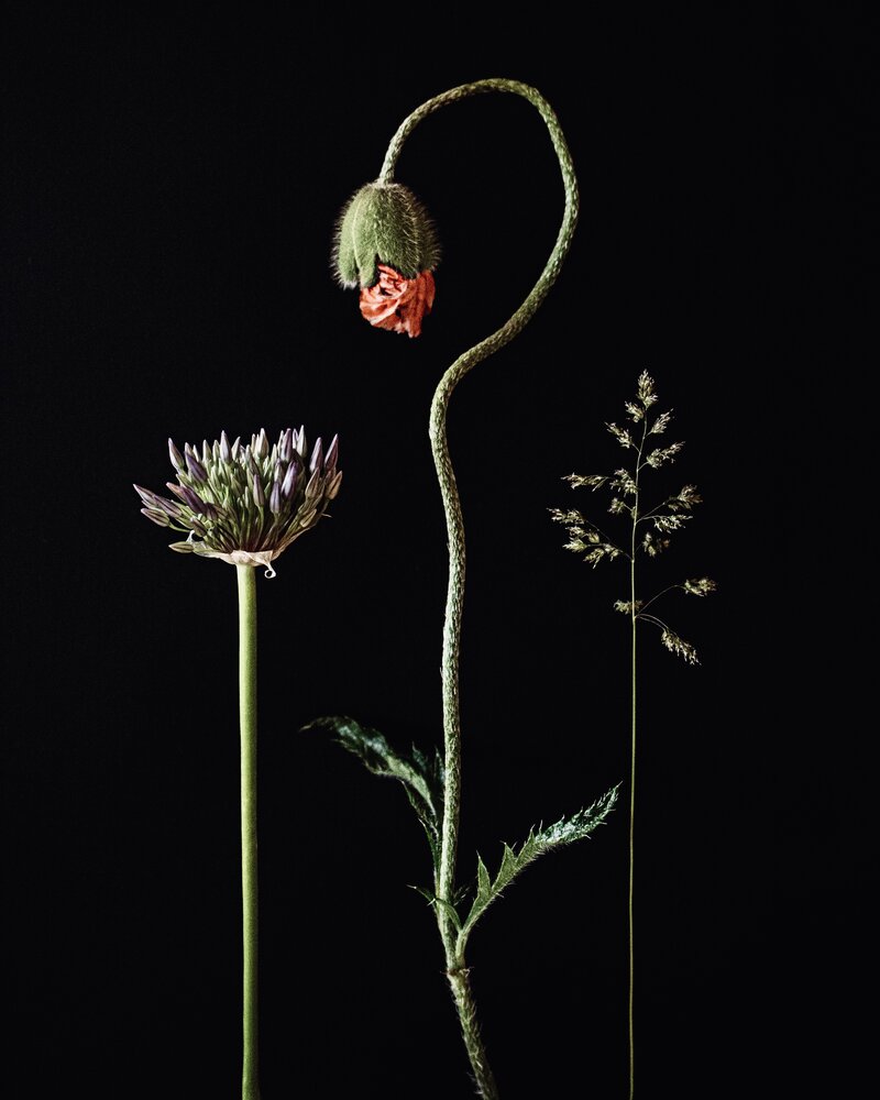 Photograph by Марина Угланова
