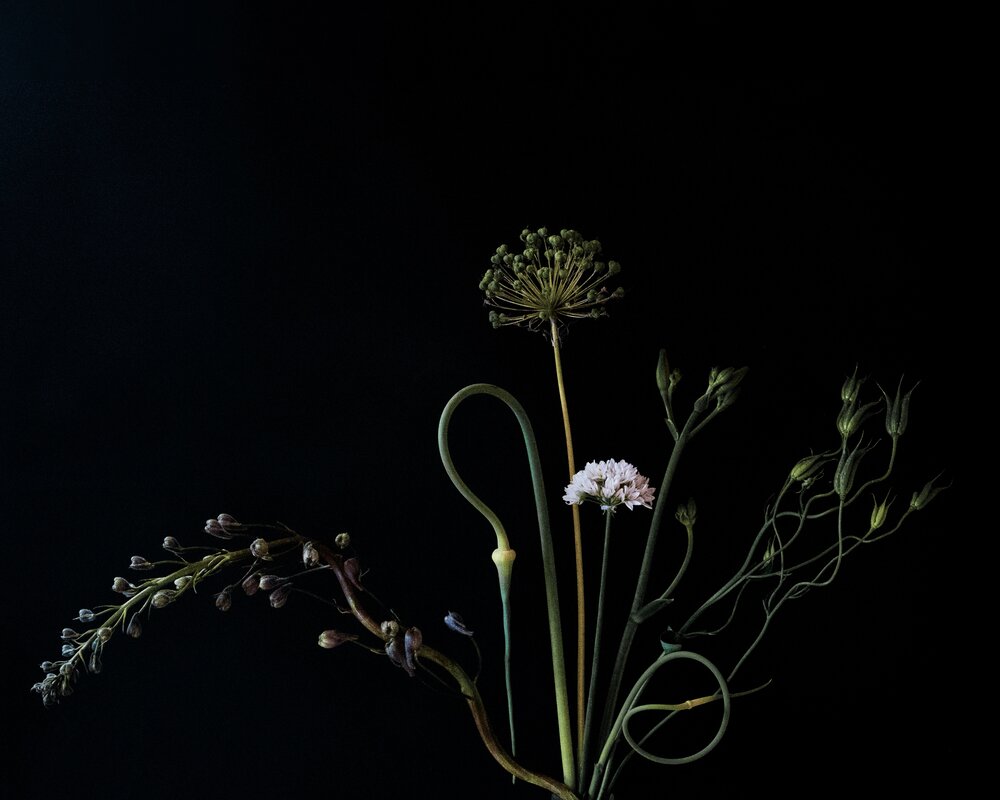 Photograph by Марина Угланова