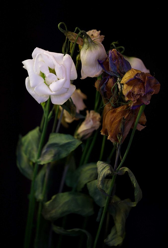 Photograph by Marina Krivitskaya