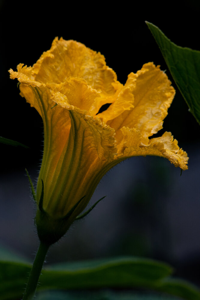 Photograph by Kanashkin Ilya