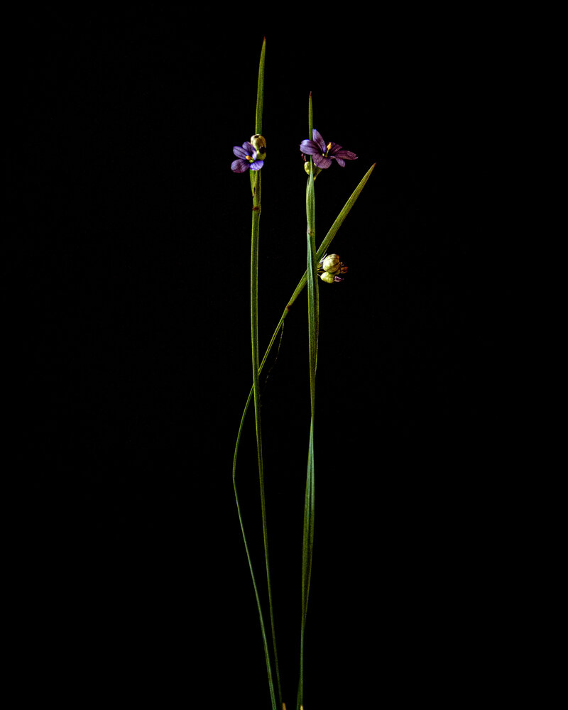 Photograph by Марина Угланова