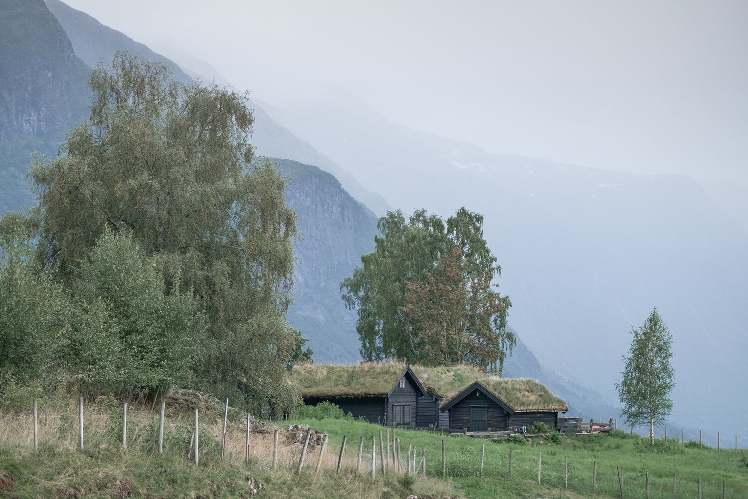 Photo #13873000
