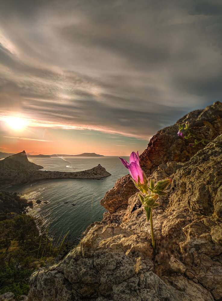 Photograph by Александр Разумов