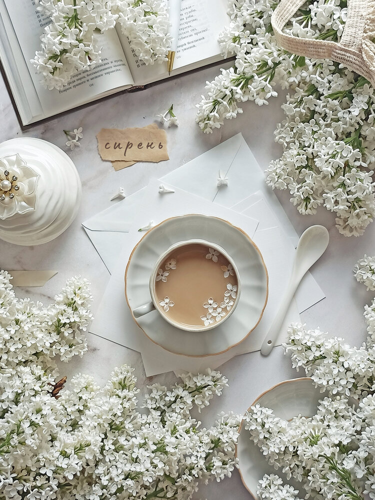 Photograph by Татьяна Шахова