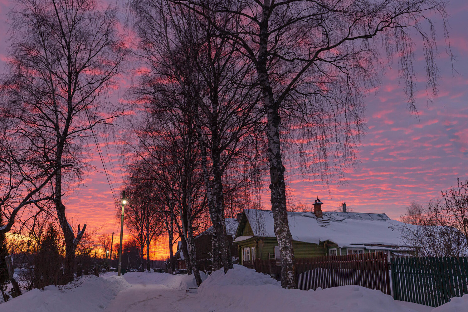 Photo #13873114