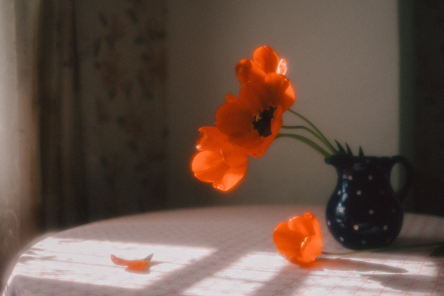 Фотография #13873143