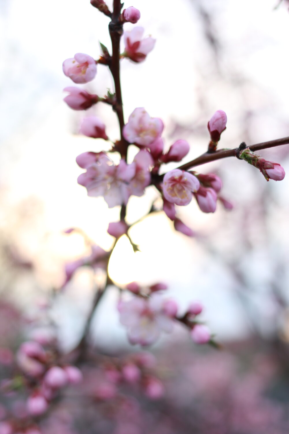 Photo #13873145
