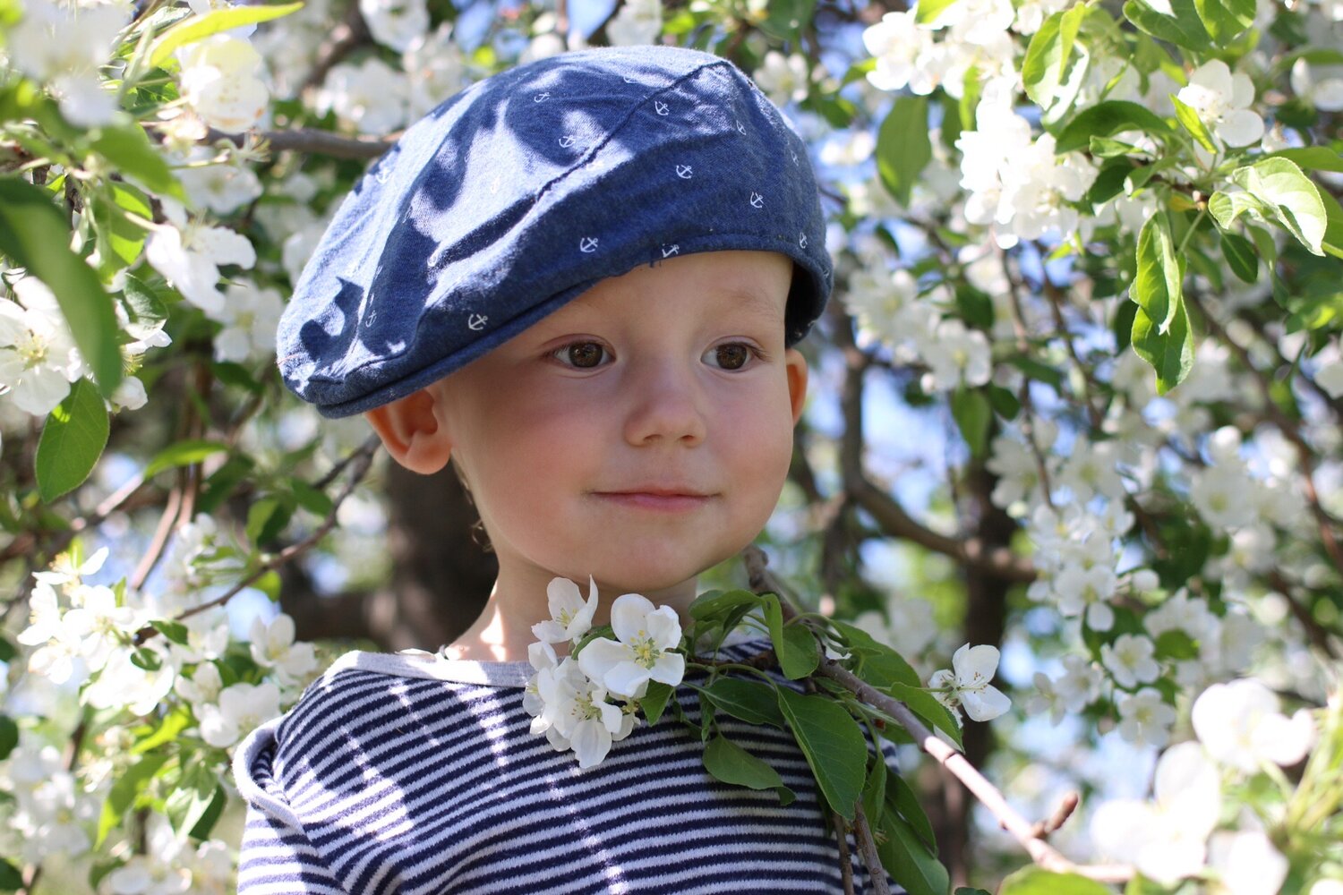 Photo #13873161