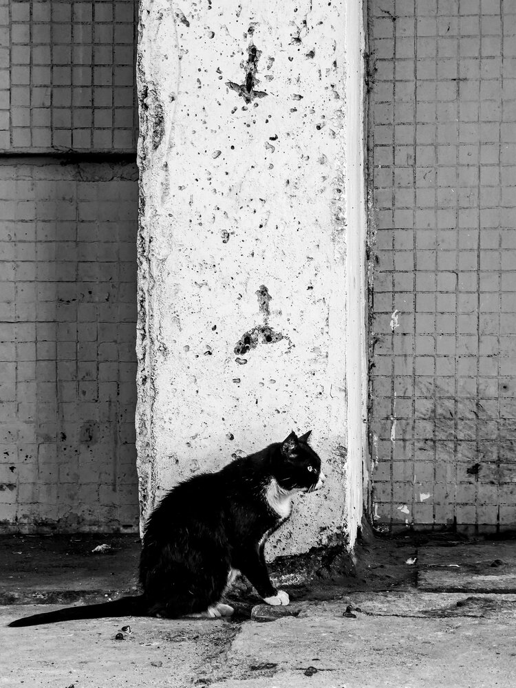 Photograph by Людмила Сарыцина