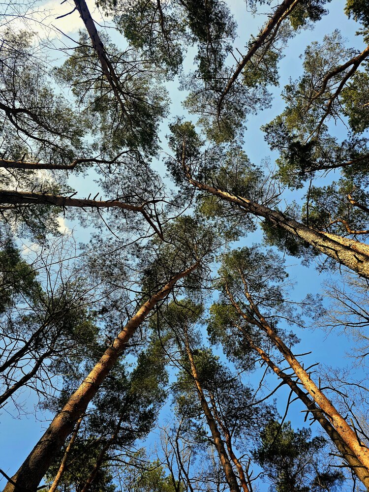Photograph by Мария Рудаковская