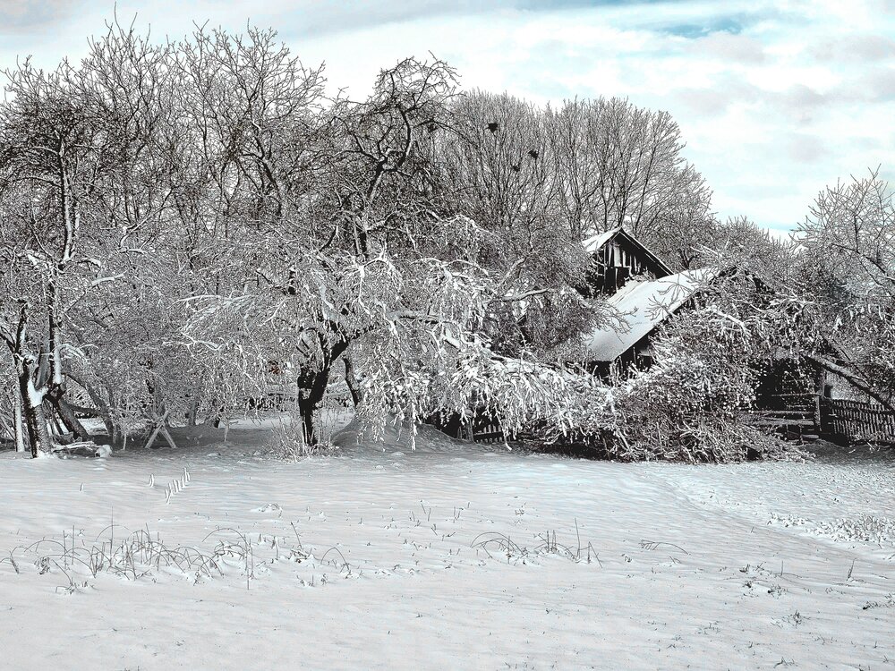 Photograph by Мария Рудаковская