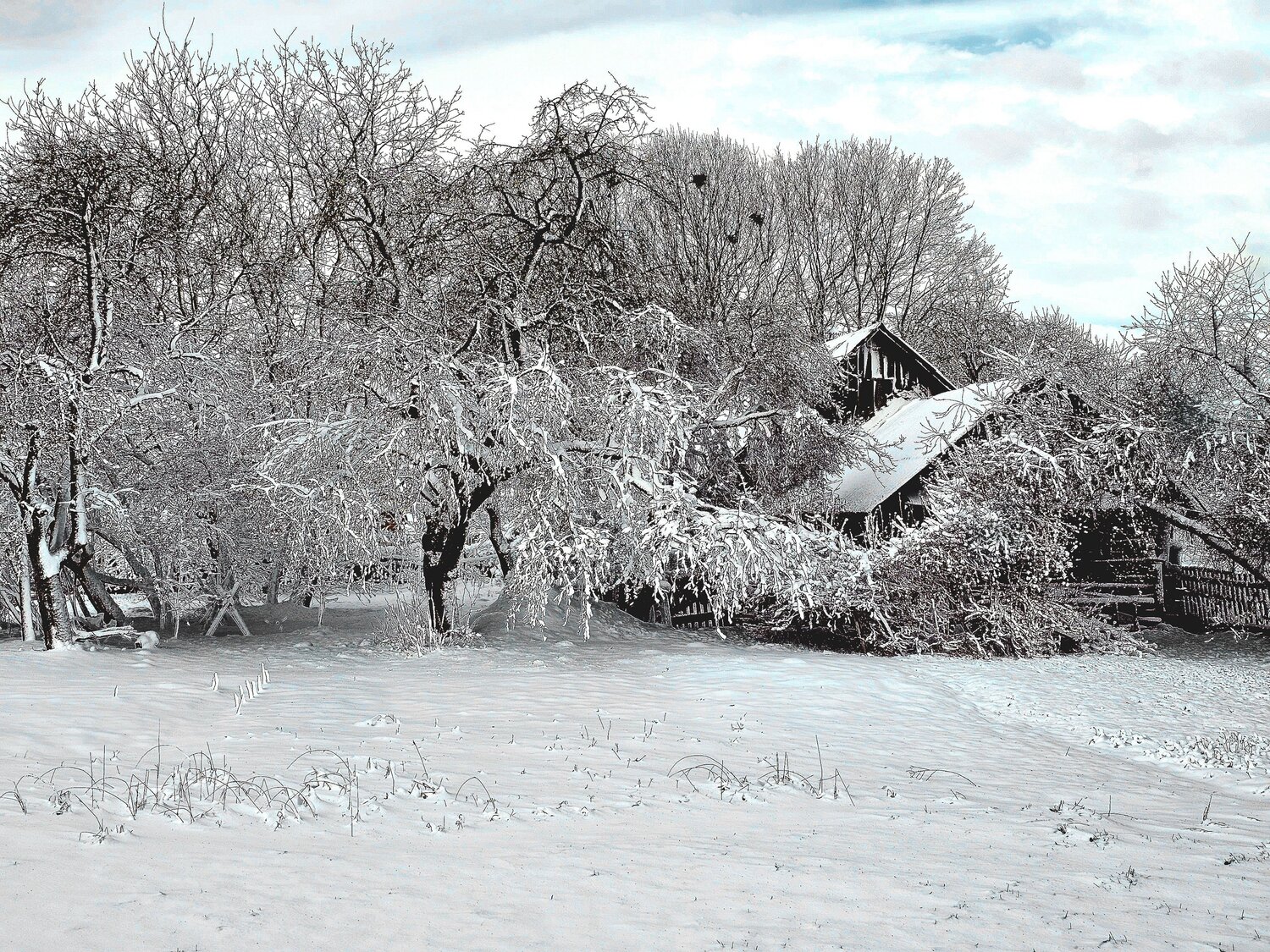 Photo #13873270