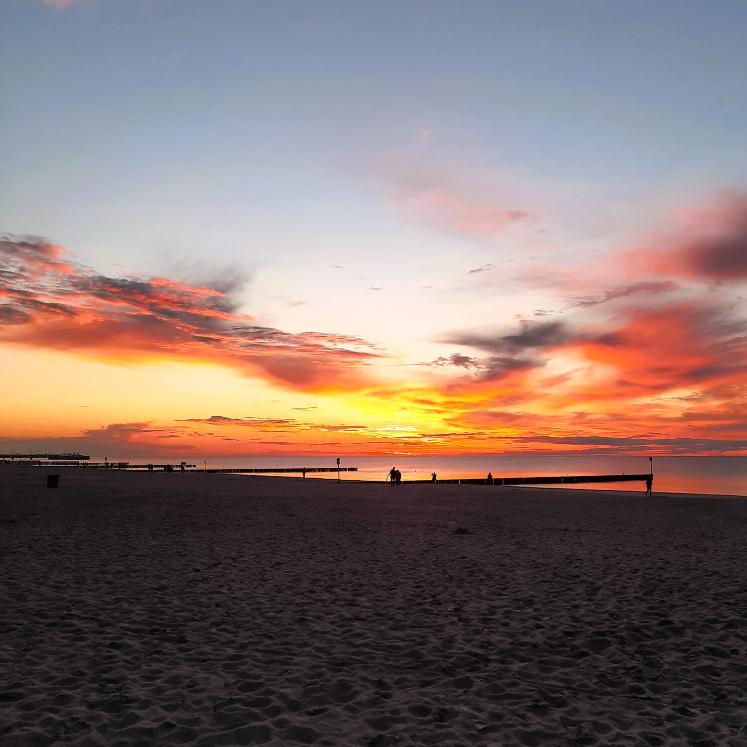 Photo #13873272
