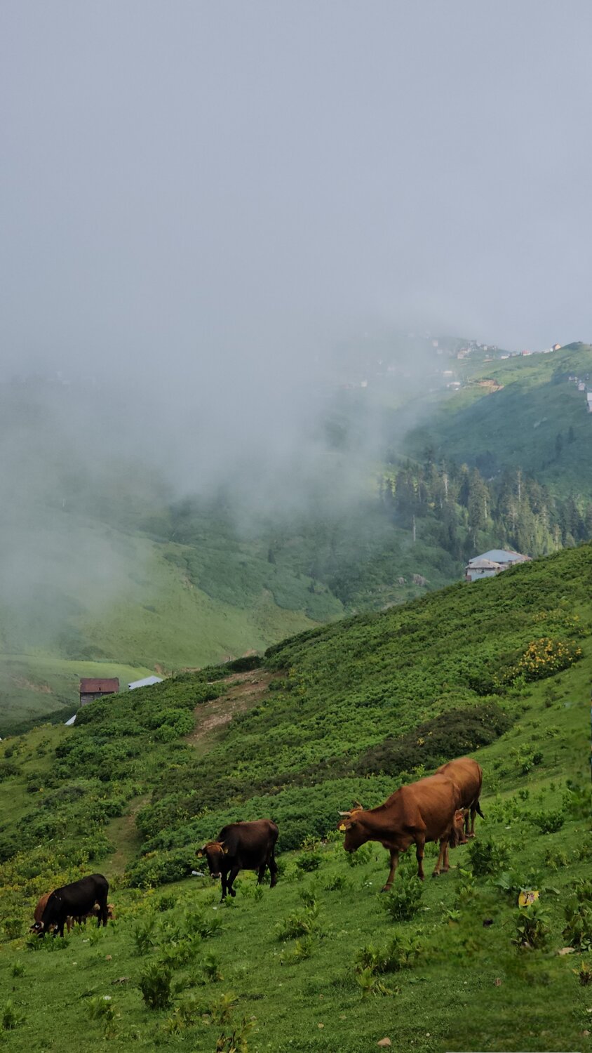 Photo #13873313