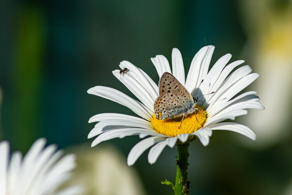 Photograph by Чварков Олег