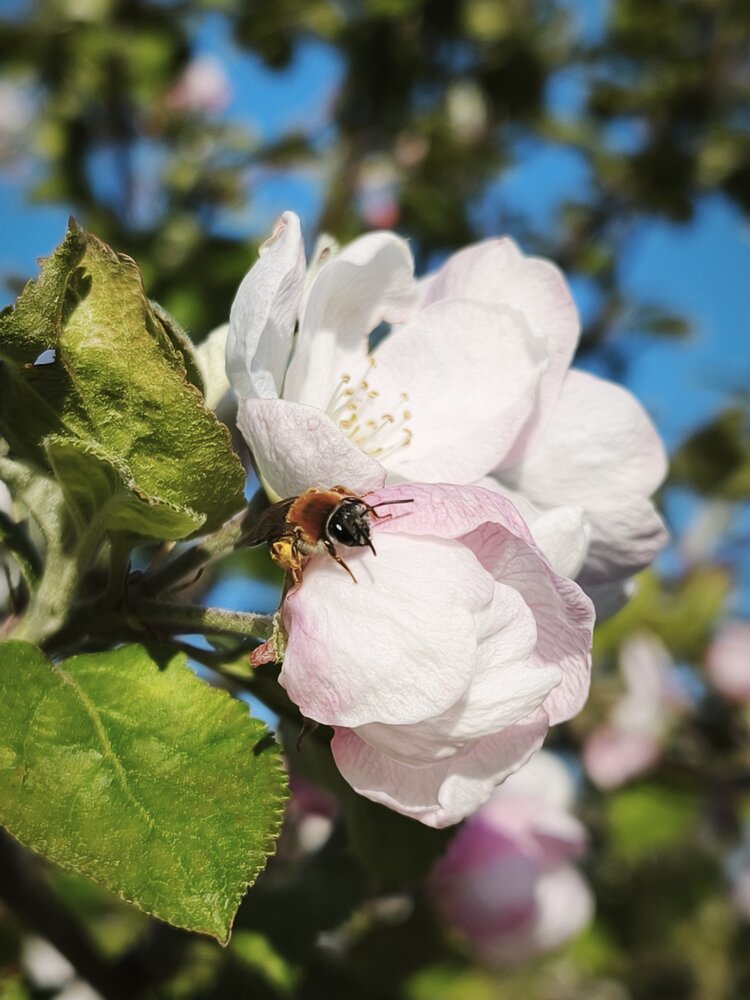 Photograph by Ирина Лаптева
