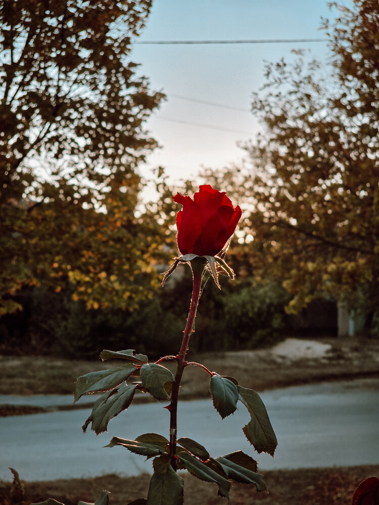 Photograph by Александра Воронина