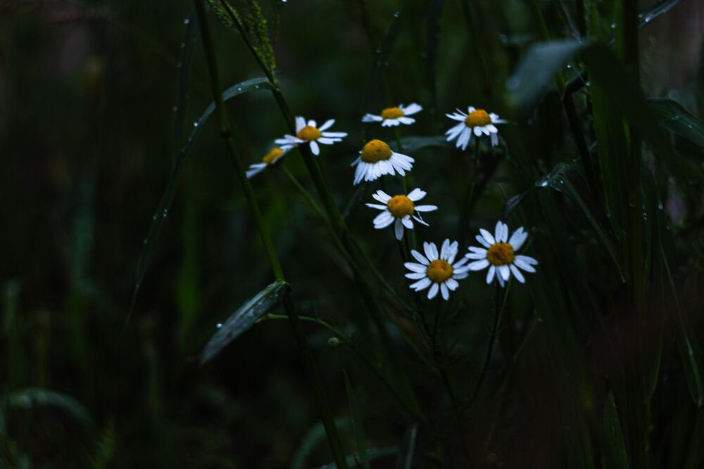 Photograph by Елена Андреева