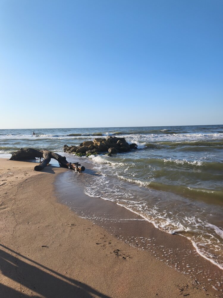 Photograph by Ирина Лаптева