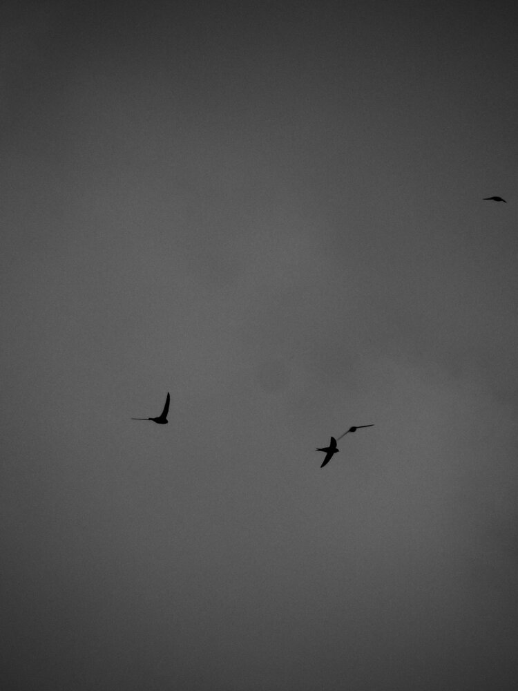 Photograph by Milena Apresyan