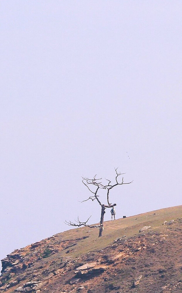 Photograph by Лейфер Татьяна