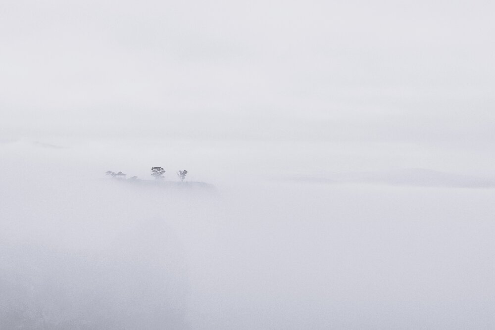 Photo #13873436