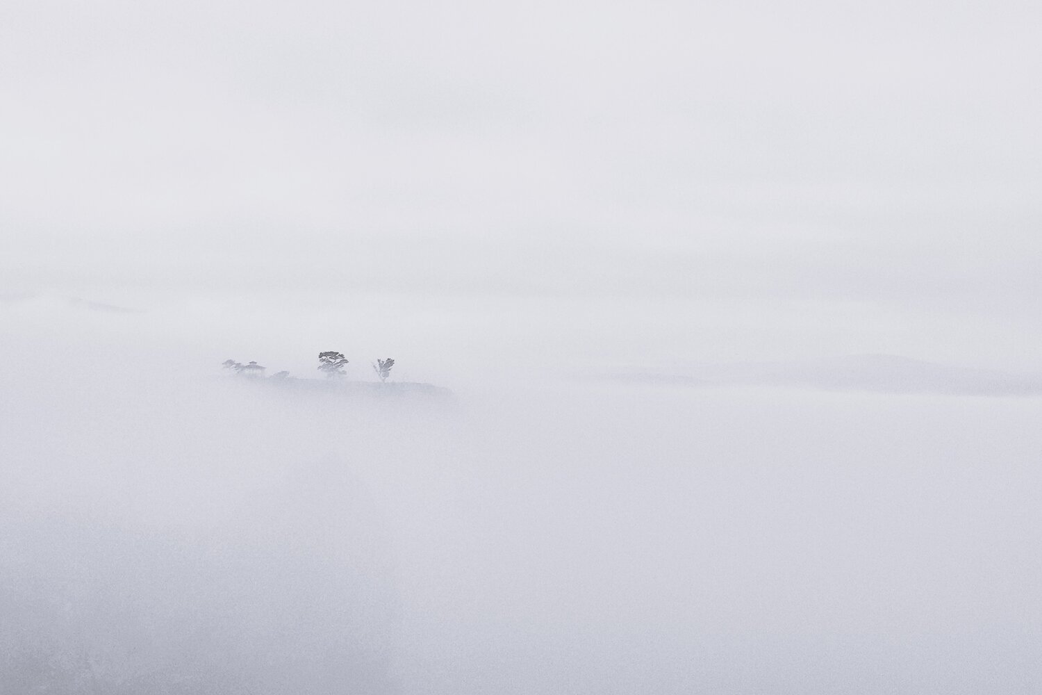 Photo #13873436