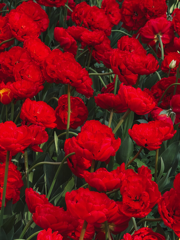 Photograph by Дарья Ищенко