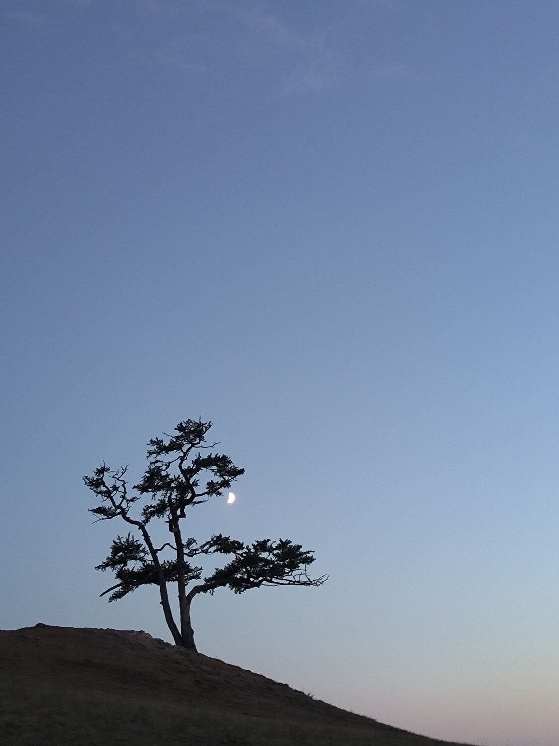 Photo #13873448