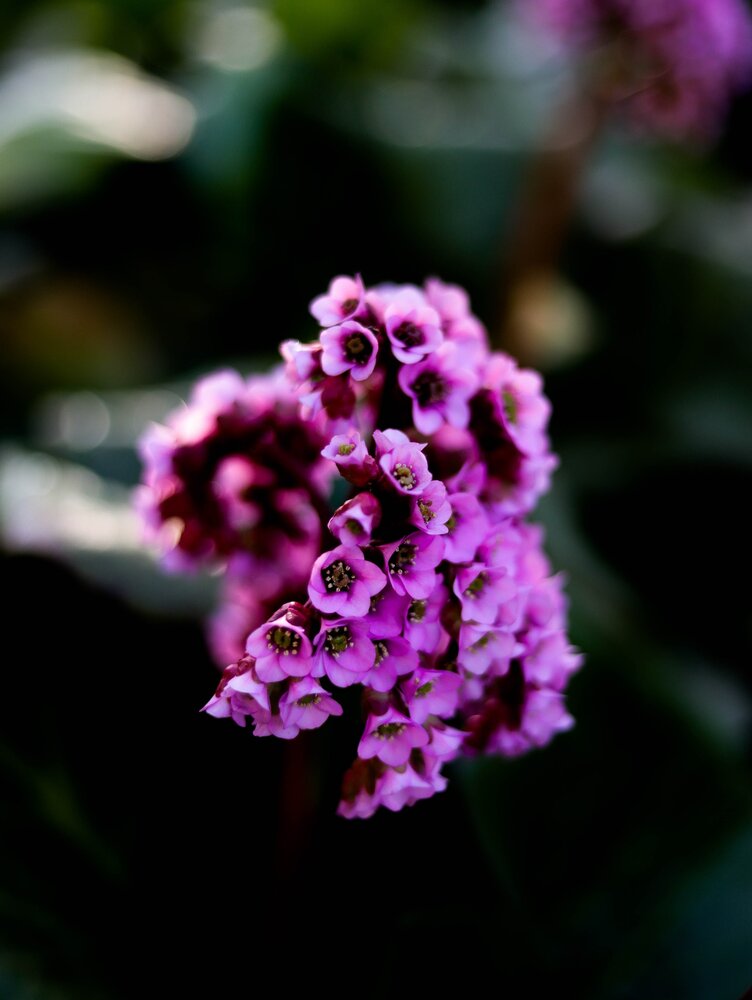 Photograph by Яна Андреева