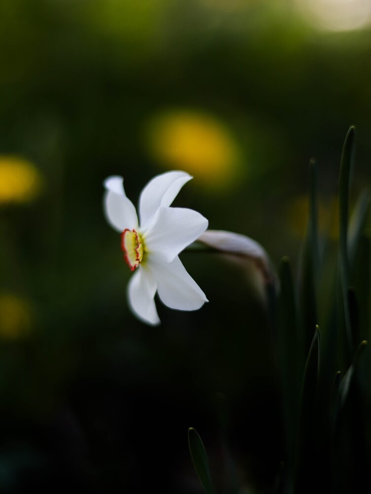 Photograph by Яна Андреева