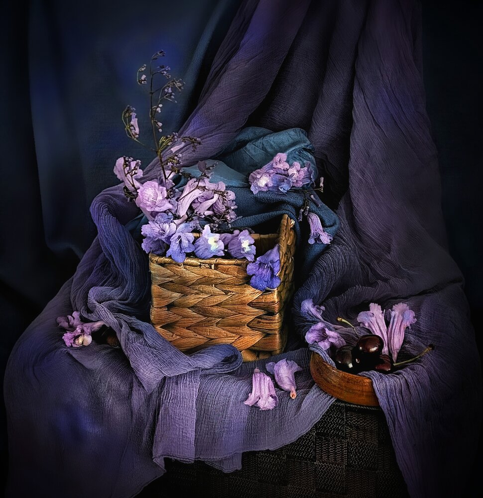 Photograph by Ольга