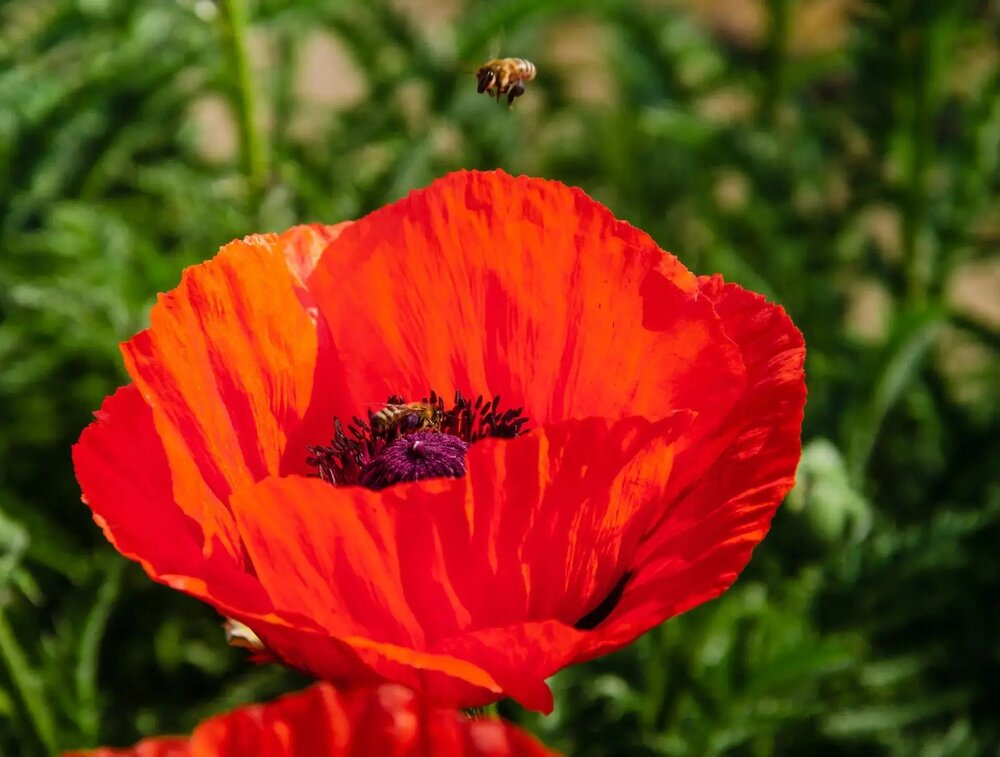 Photograph by Мартынова Галина