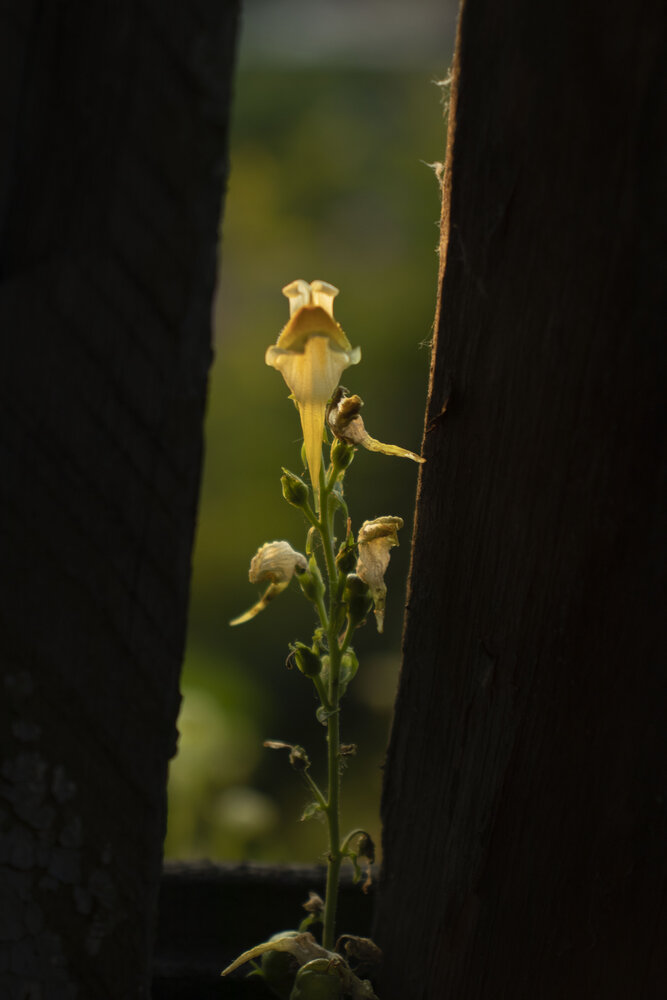 Photograph by Анна Малышева