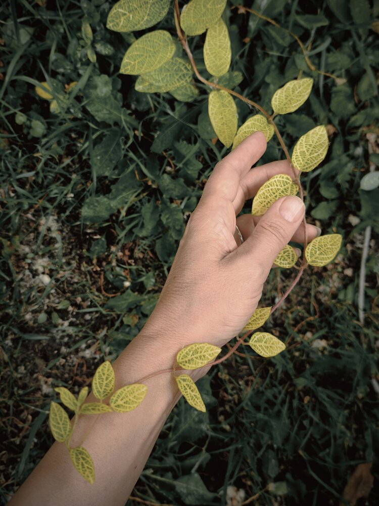 Photograph by Наталья Силантьева