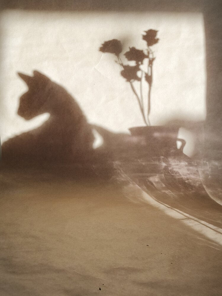Photograph by Наталья Силантьева