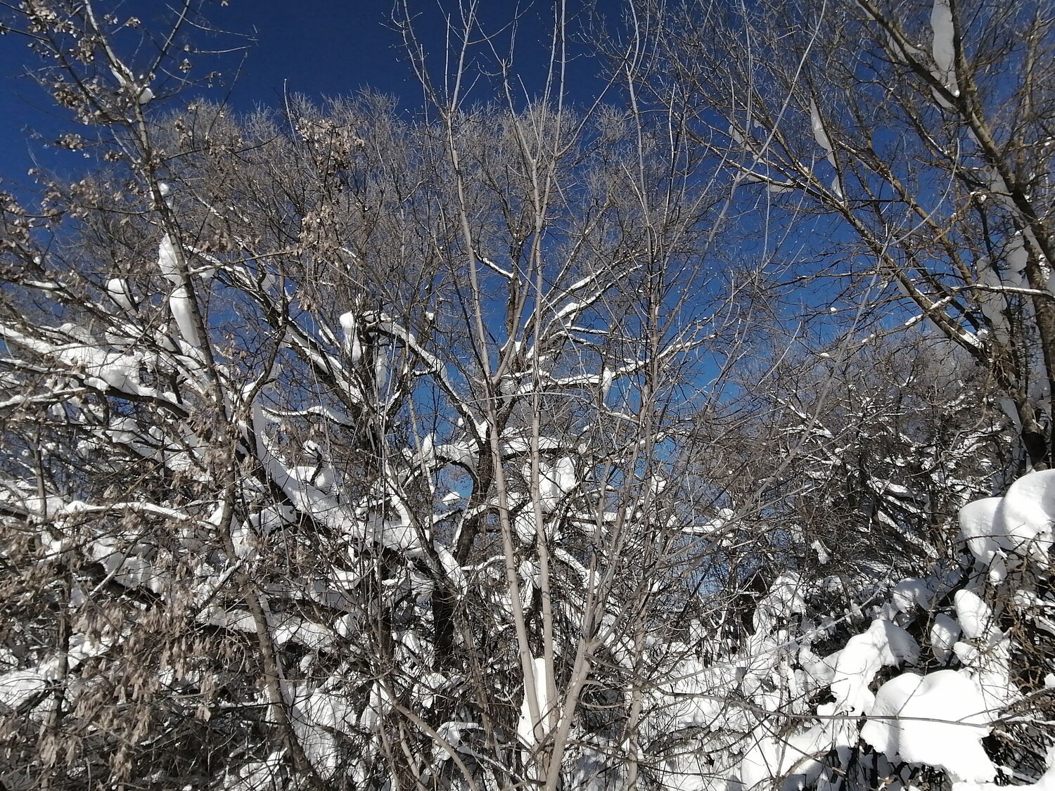 Photo #13873627