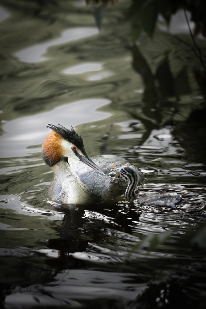 Photograph by Valeriy G