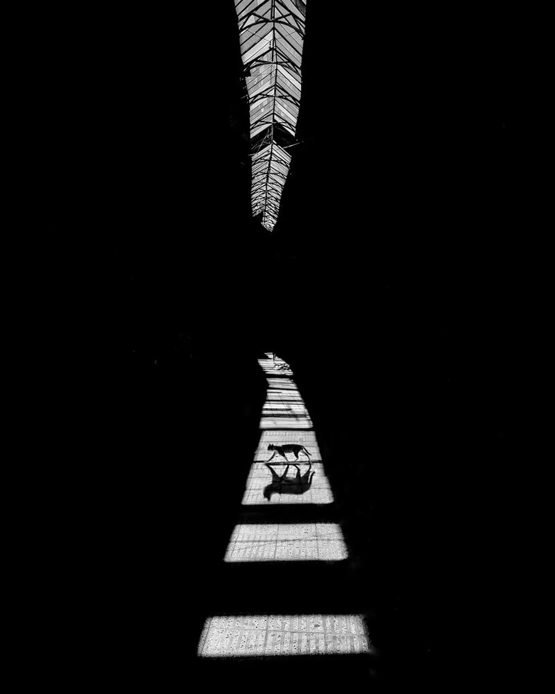 Фотография автора Mojtaba Gitinezhad